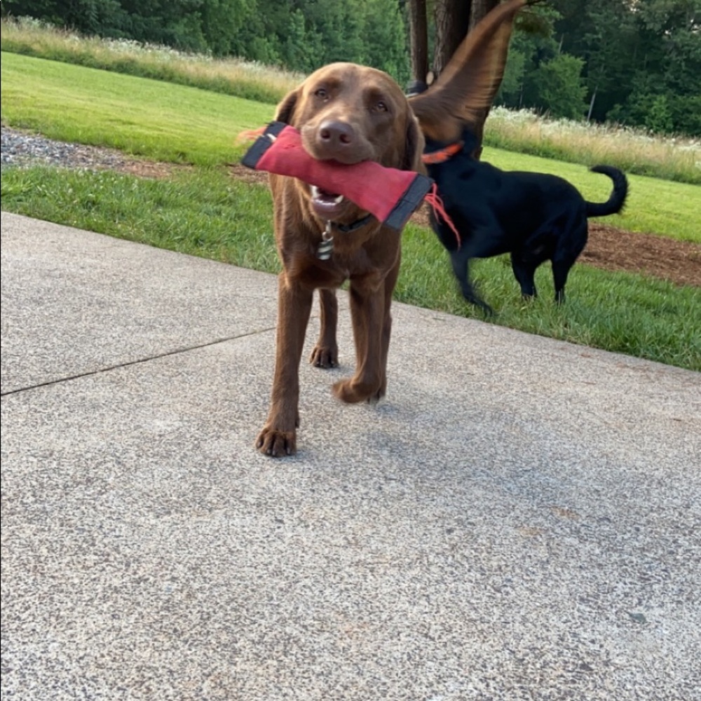 Meet your Posher, Lindsay